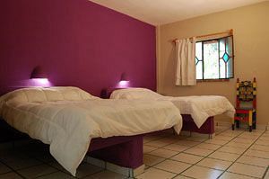 Hotel Copa Playa del Carmen Dış mekan fotoğraf